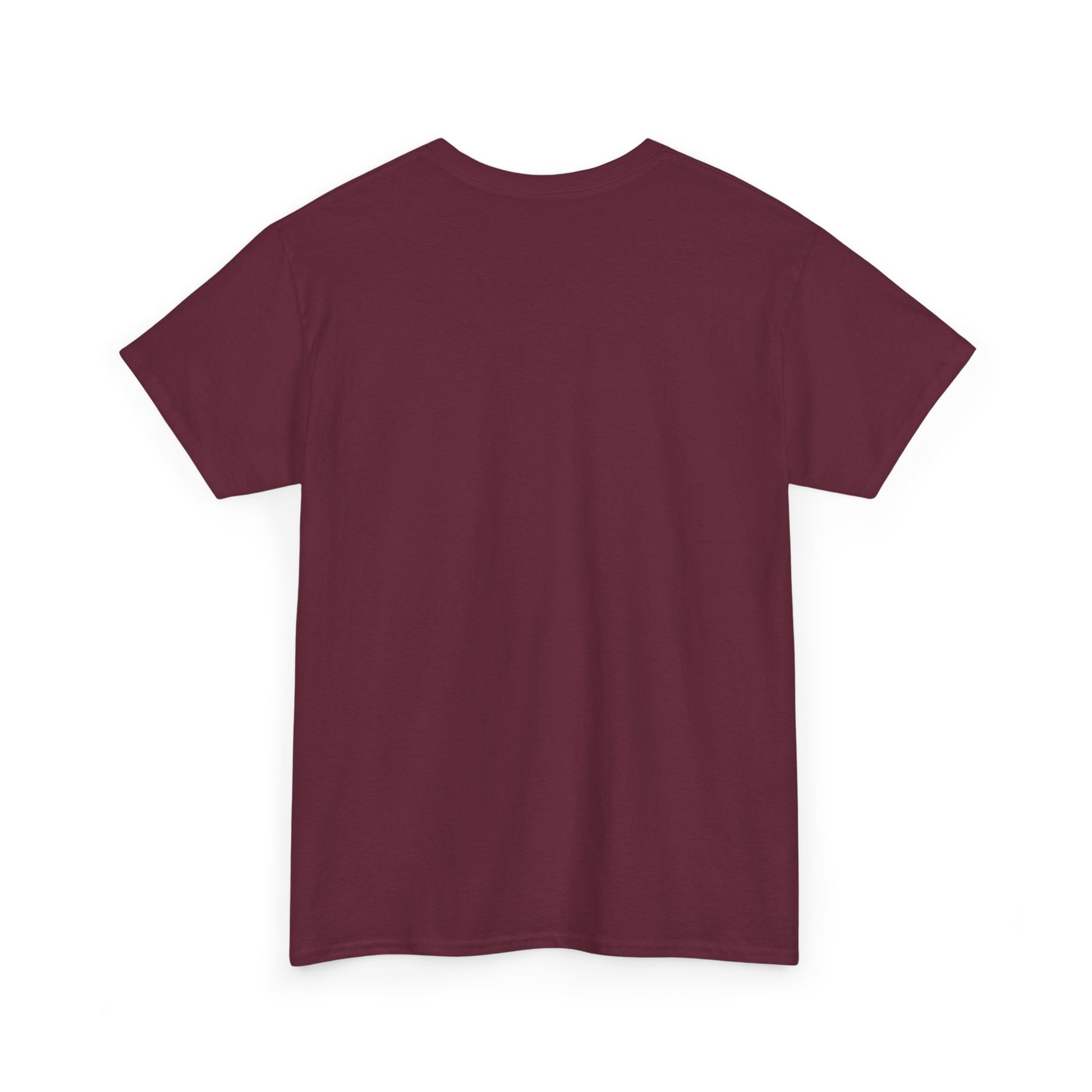 King of the Room Tee, Fun Graphic T-Shirt, Unisex Casual Wear, Perfect for Parties, Gift for Friends, Streetwear Fashion