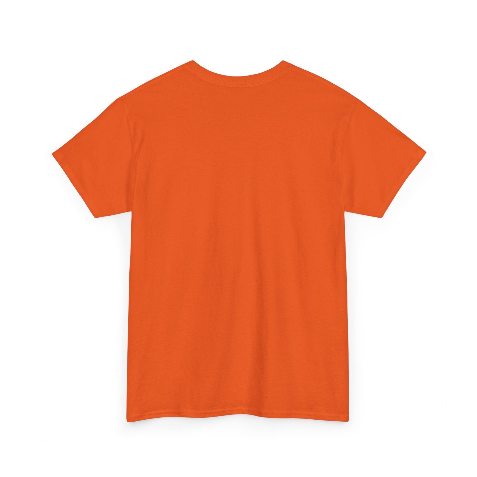 King of the Room Tee, Fun Graphic T-Shirt, Unisex Casual Wear, Perfect for Parties, Gift for Friends, Streetwear Fashion