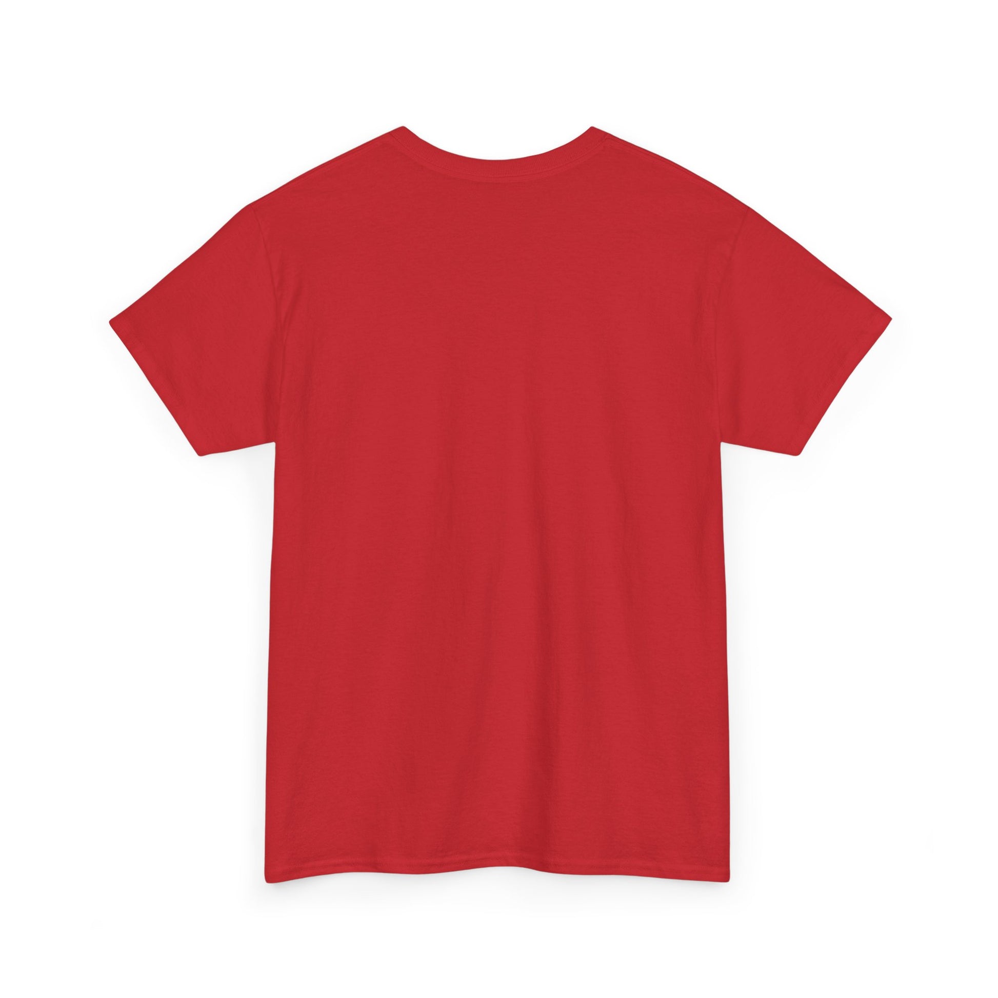 King of the Room Tee, Fun Graphic T-Shirt, Unisex Casual Wear, Perfect for Parties, Gift for Friends, Streetwear Fashion