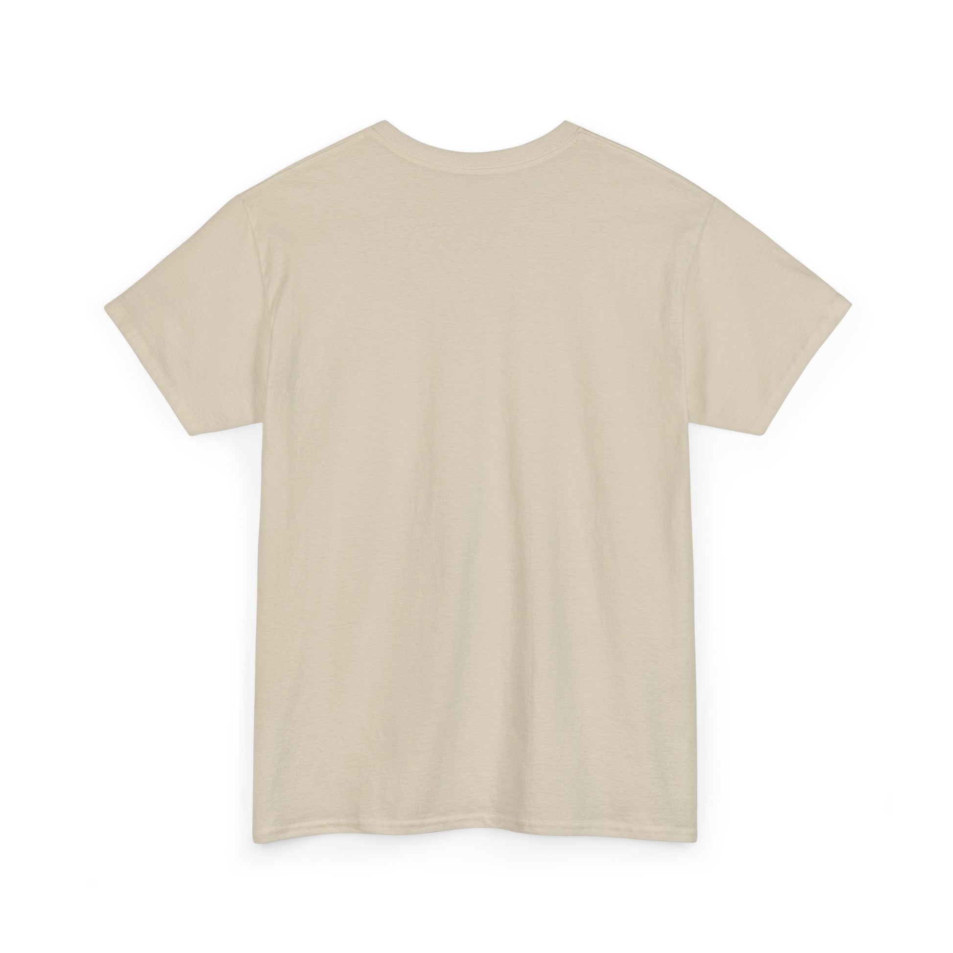 King of the Room Tee, Fun Graphic T-Shirt, Unisex Casual Wear, Perfect for Parties, Gift for Friends, Streetwear Fashion