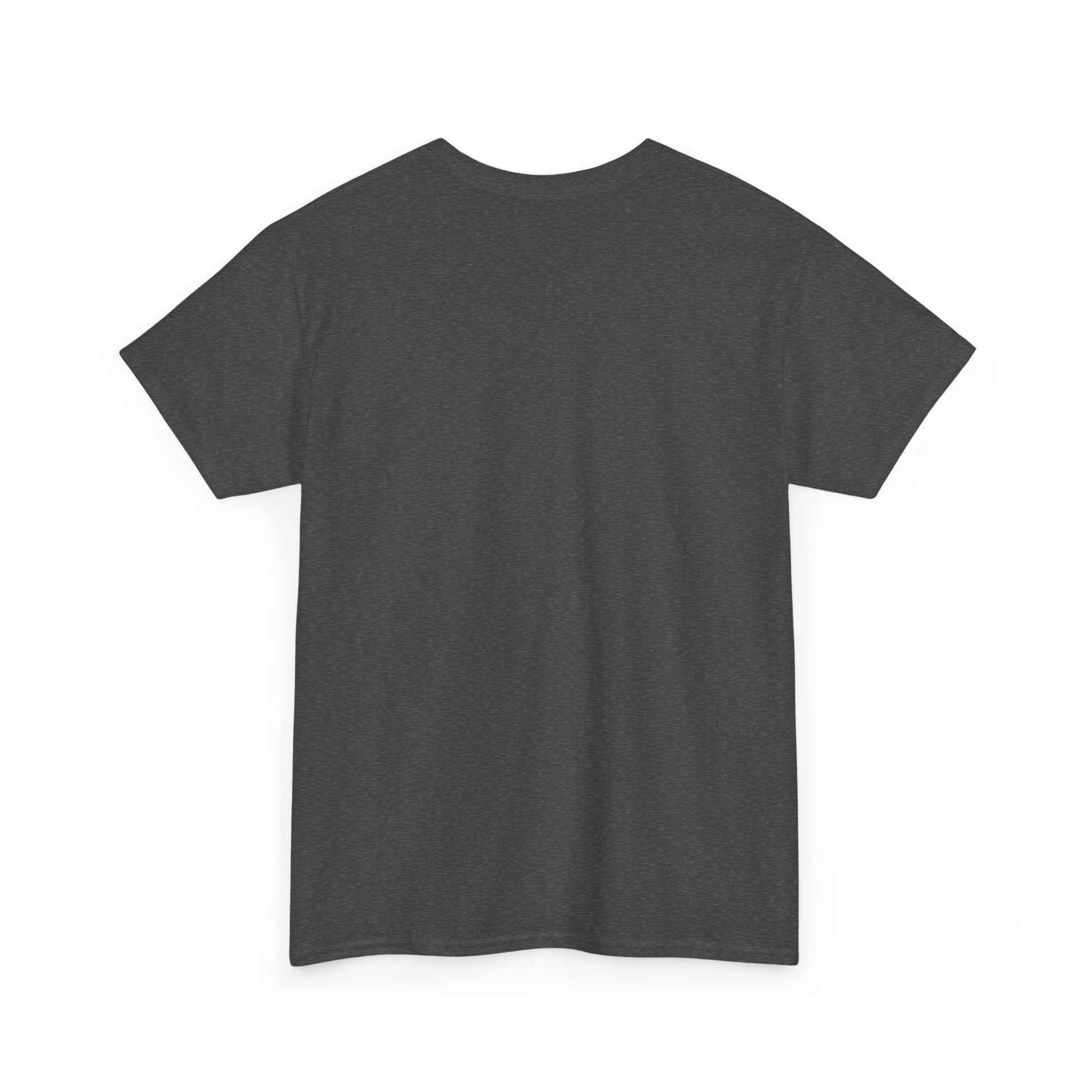 King of the Room Tee, Fun Graphic T-Shirt, Unisex Casual Wear, Perfect for Parties, Gift for Friends, Streetwear Fashion
