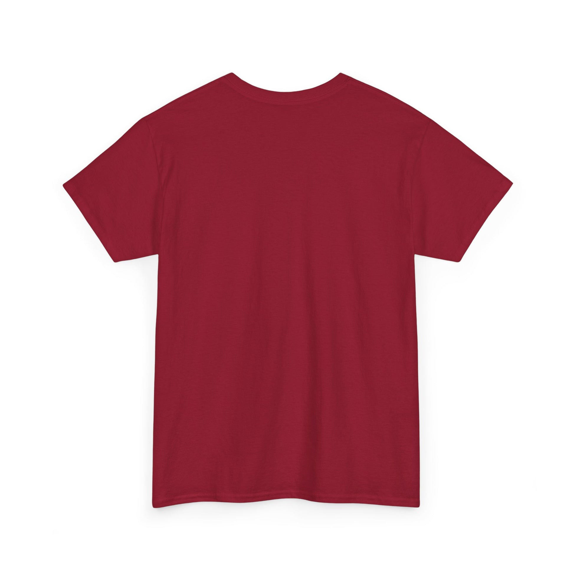 King of the Room Tee, Fun Graphic T-Shirt, Unisex Casual Wear, Perfect for Parties, Gift for Friends, Streetwear Fashion